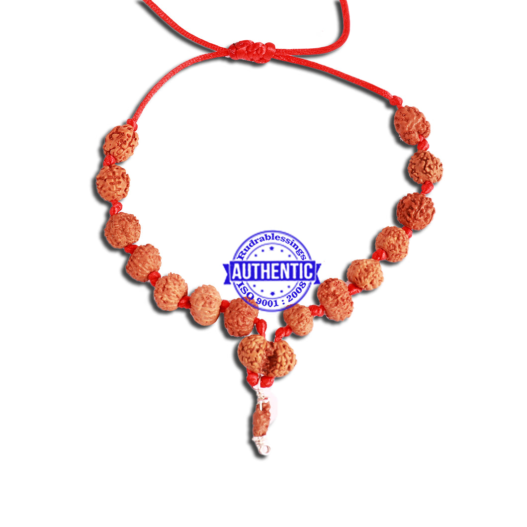 Rudraksha SidhShakti Mala from Indonesia (Mini size beads) - 3