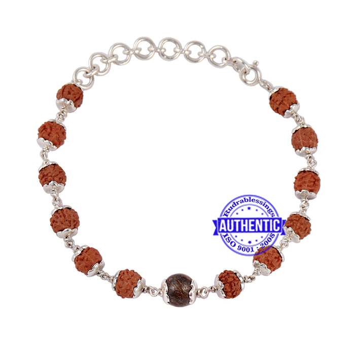 Bronzite Rudraksha Bracelet (Pure Silver)
