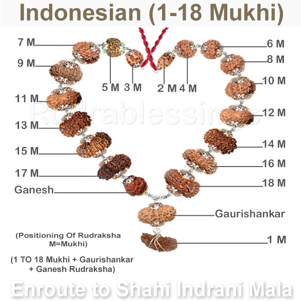 Enroute to Rudraksha Shahi Indrani Mala from Indonesia - 4