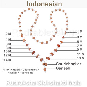 Rudraksha SidhShakti Mala from Indonesia (Mini size beads) - 2 (Pure Silver)