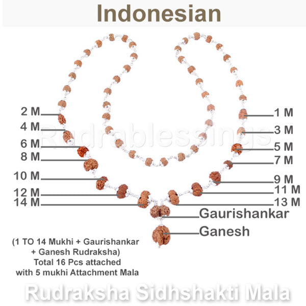 Rudraksha SidhShakti Mala from Indonesia (Std size beads) - 2 (Pure Silver)