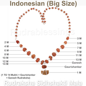 Rudraksha SidhShakti Mala from Indonesia (Big Size beads) (Pure Silver)