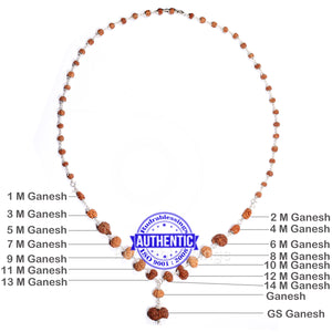 Ganesha Rudraksha SidhShakti Mala from Indonesia (Mini size beads) - 1 (Pure Silver)