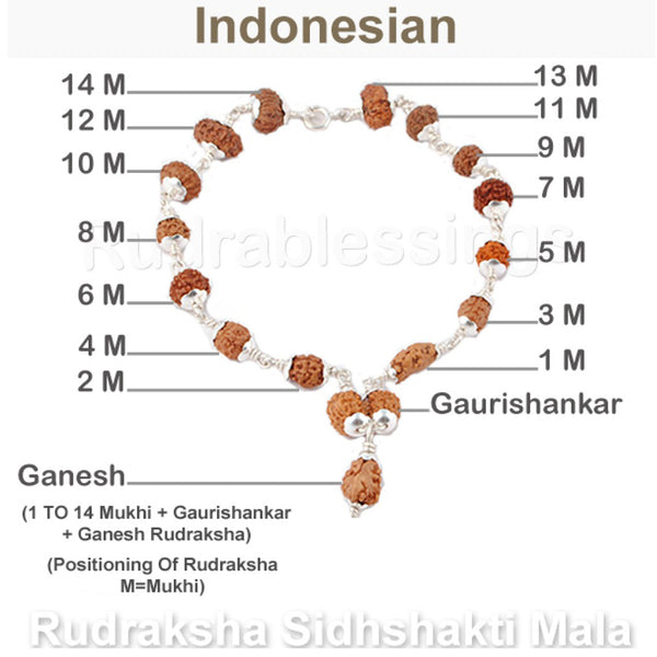 Rudraksha Sidhshakti Bracelet From Indonesia - 3 (Pure Silver)
