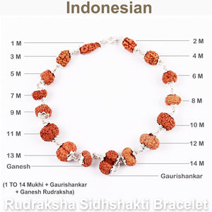 Rudraksha Sidhshakti Bracelet From Indonesia - 4 (Pure Silver)