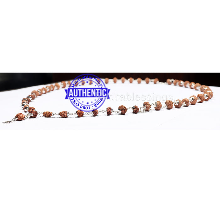 Vishnu Rudraksha SidhShakti Mala from Indonesia (Mini size beads) - 2 (Pure Silver)