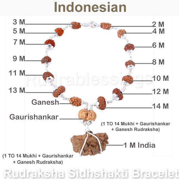 Rudraksha SidhShakti Bracelet from Indonesia - 1 (Pure Silver)