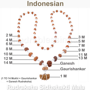 Rudraksha SidhShakti Mala from Indonesia (Mini size beads) - 1 (Pure Silver)