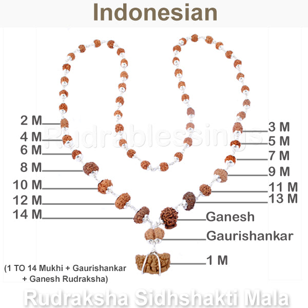 Rudraksha SidhShakti Mala from Indonesia (Mini size beads) - 1 (Pure Silver)