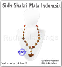 Load image into Gallery viewer, Rudraksha SidhShakti Mala from Indonesia (Mini size beads) - 1

