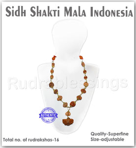 Rudraksha SidhShakti Mala from Indonesia (Mini size beads) - 1