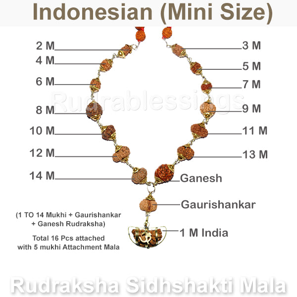 Rudraksha SidhShakti Mala from Indonesia (Mini size beads) - 1