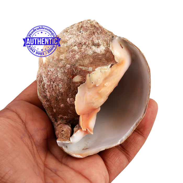 Siddhivinayak Ganesha Shankh - 26