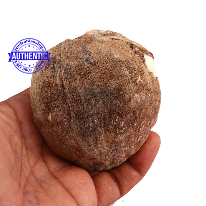 Siddhivinayak Ganesha Shankh - 26