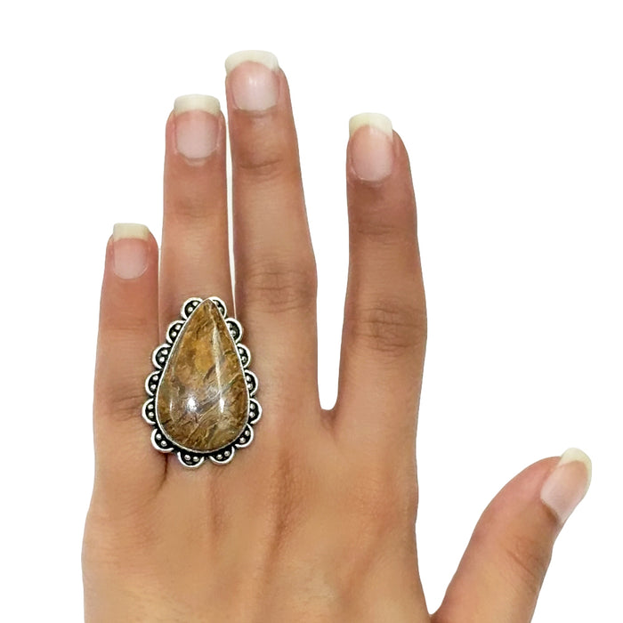 Fossileforous Limestone Ring - 12