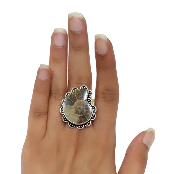 Ammonite Ring - 28