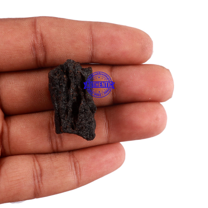 Tektite - 16