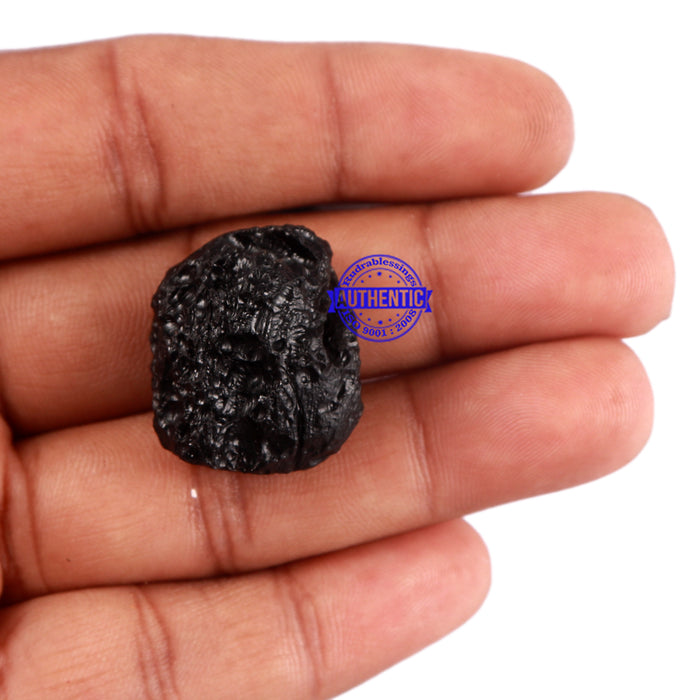 Tektite - 18