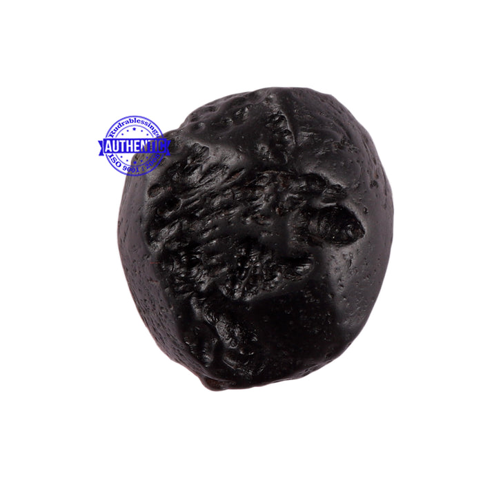 Tektite - 19