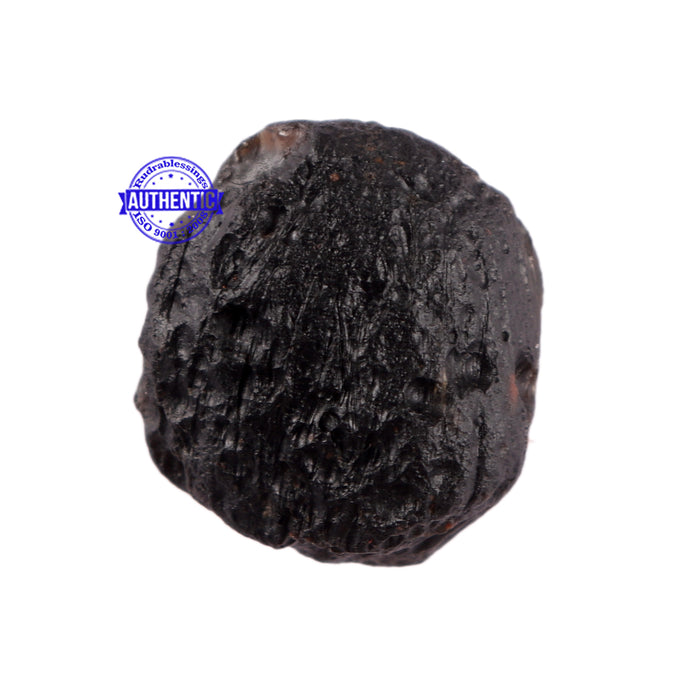 Tektite - 23