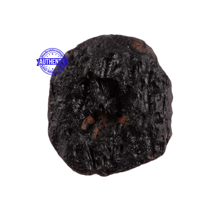 Tektite - 23