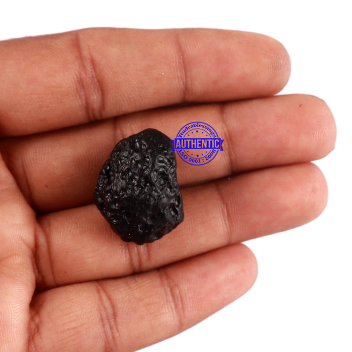 Tektite - 25