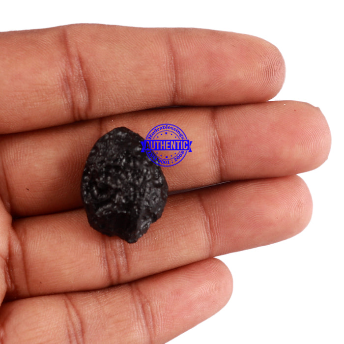 Tektite - 27