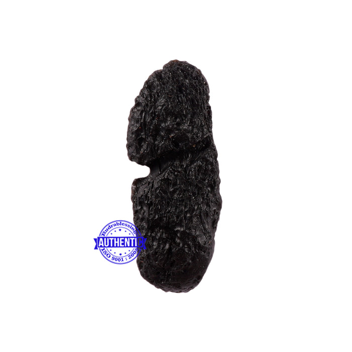 Tektite - 4