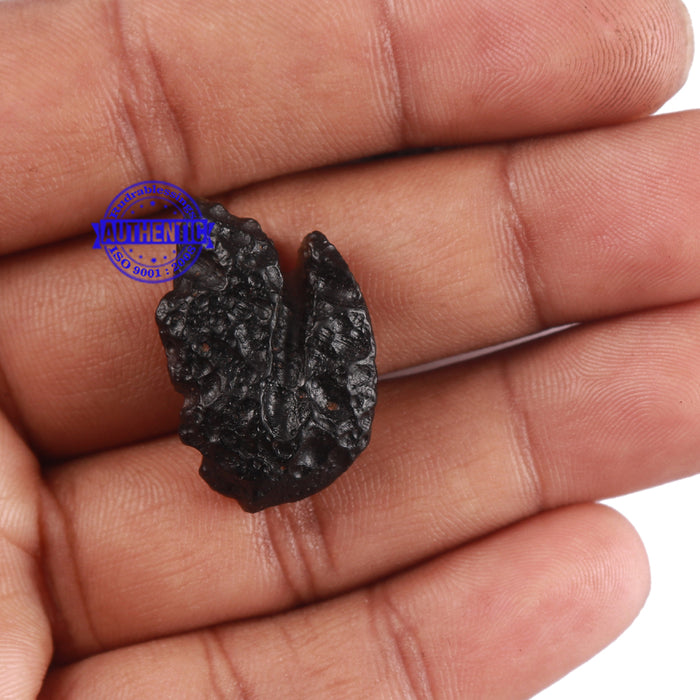 Tektite - 110