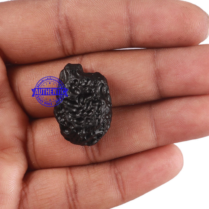 Tektite - 136