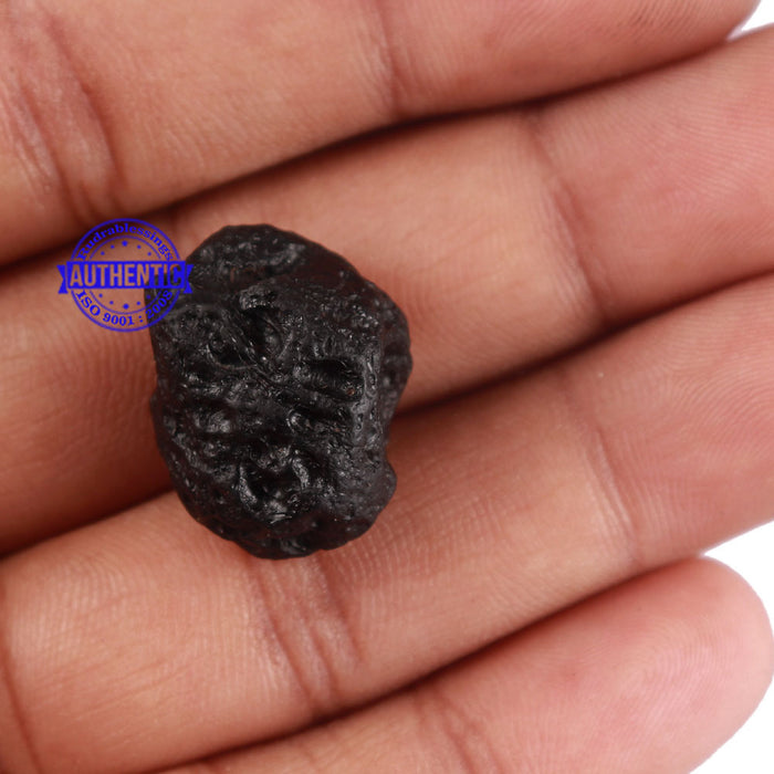 Tektite - 143