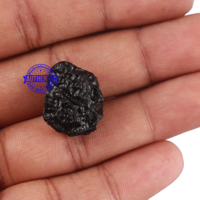 Tektite - 151
