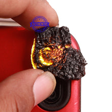 Load image into Gallery viewer, Tektite - 160
