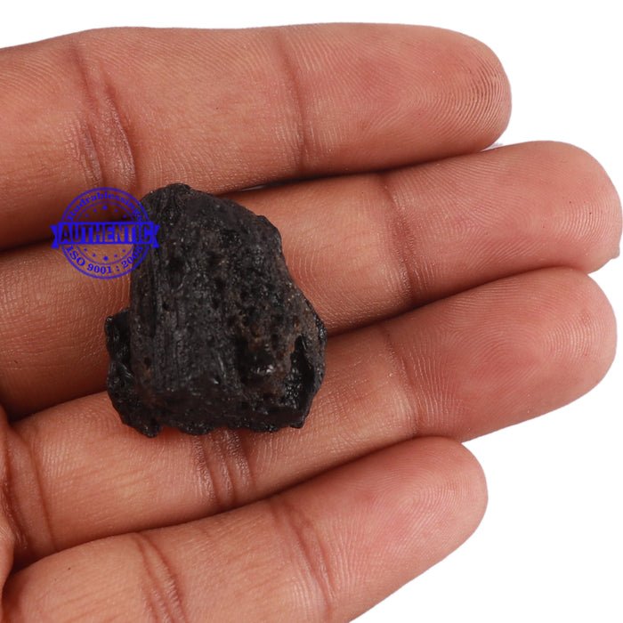Tektite - 49