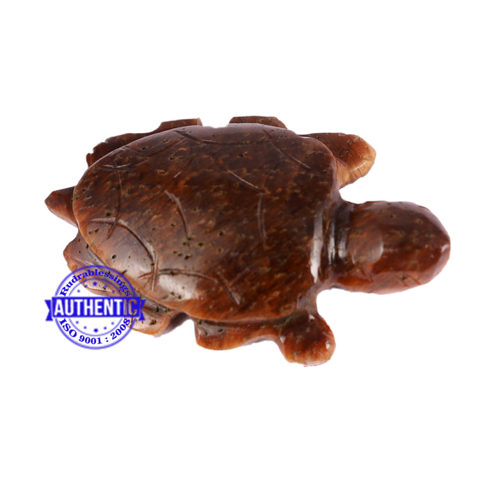 Tiger Eye Tortoise Statue - 2