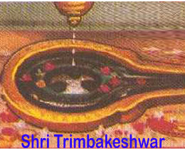 Unique Rarest of Rare Trijudi Rudraksha from Indonesia