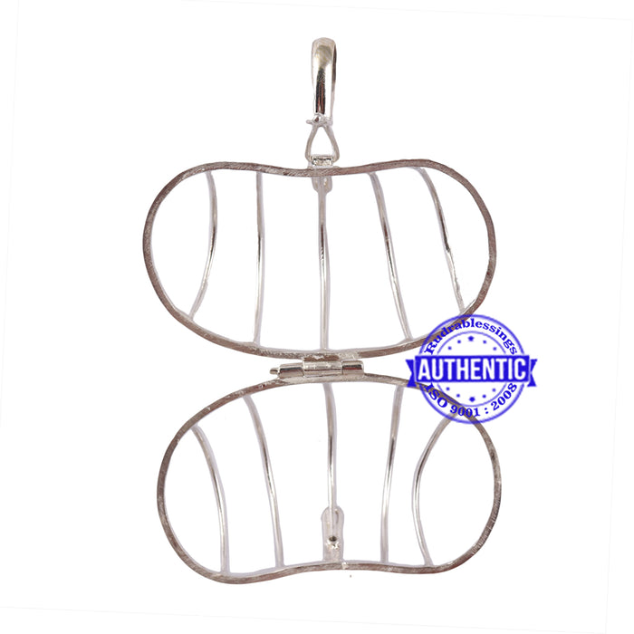 15 Mukhi Trijudi Rudraksha from Nepal