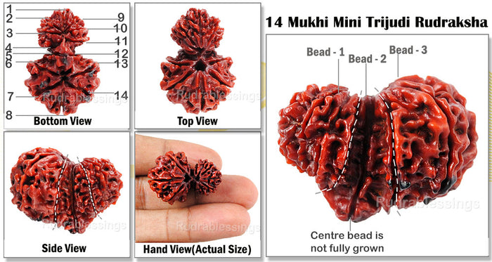 Mini Trijudi - Bead No. 11