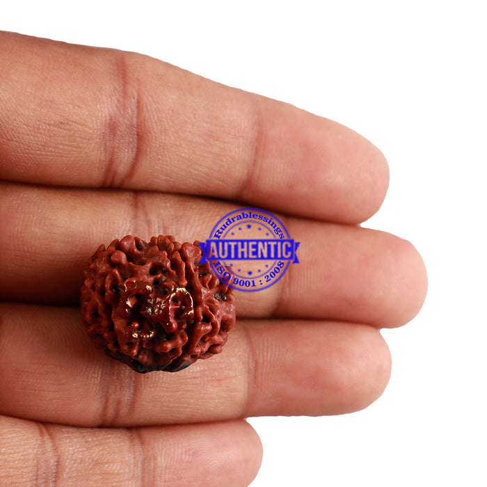 5 Mukhi Rudraksha with Om Marking