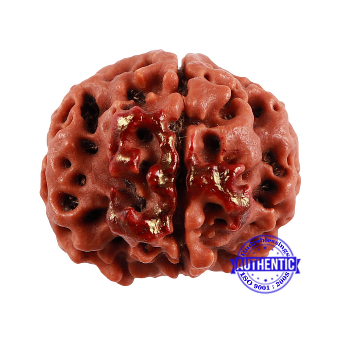 4 Mukhi Rudraksha with Om Marking - Bead 2