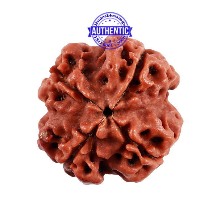 4 Mukhi Rudraksha with Om Marking - Bead 2