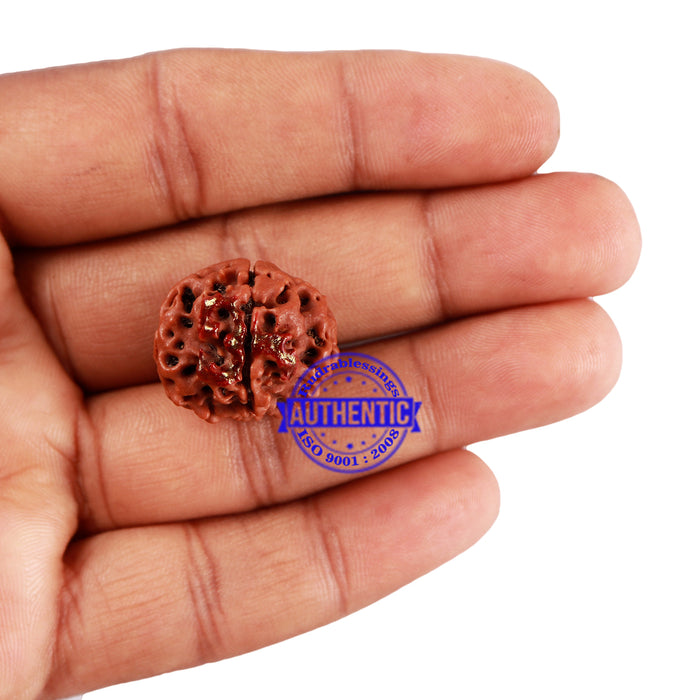 4 Mukhi Rudraksha with Om Marking - Bead 2