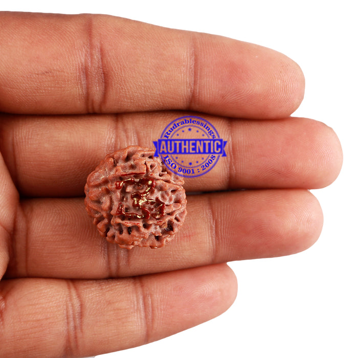 7 Mukhi Rudraksha with Om Marking