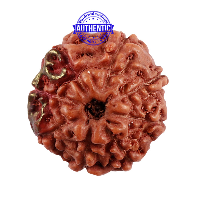 8 Mukhi Indonesian Rudraksha with 2 Om Marking