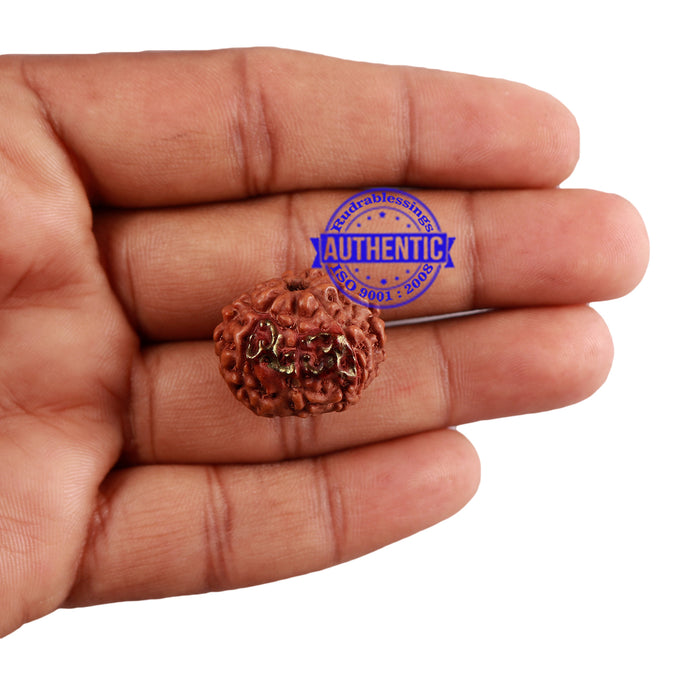 8 Mukhi Indonesian Rudraksha with 2 Om Marking