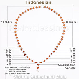 Vishnu Rudraksha SidhShakti Mala from Indonesia (Mini size beads) - 2 (Pure Silver)