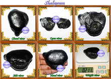 Load image into Gallery viewer, Shaligram - 10
