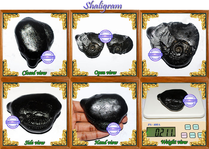 Shaligram - 10