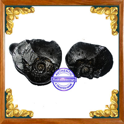 Shaligram - 10