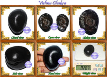 Load image into Gallery viewer, Vishnu Chakra - 11
